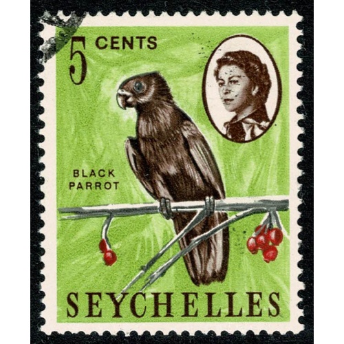 Seychelles. 1962-68  5c "Black parrot". Fine Used single. SG 196