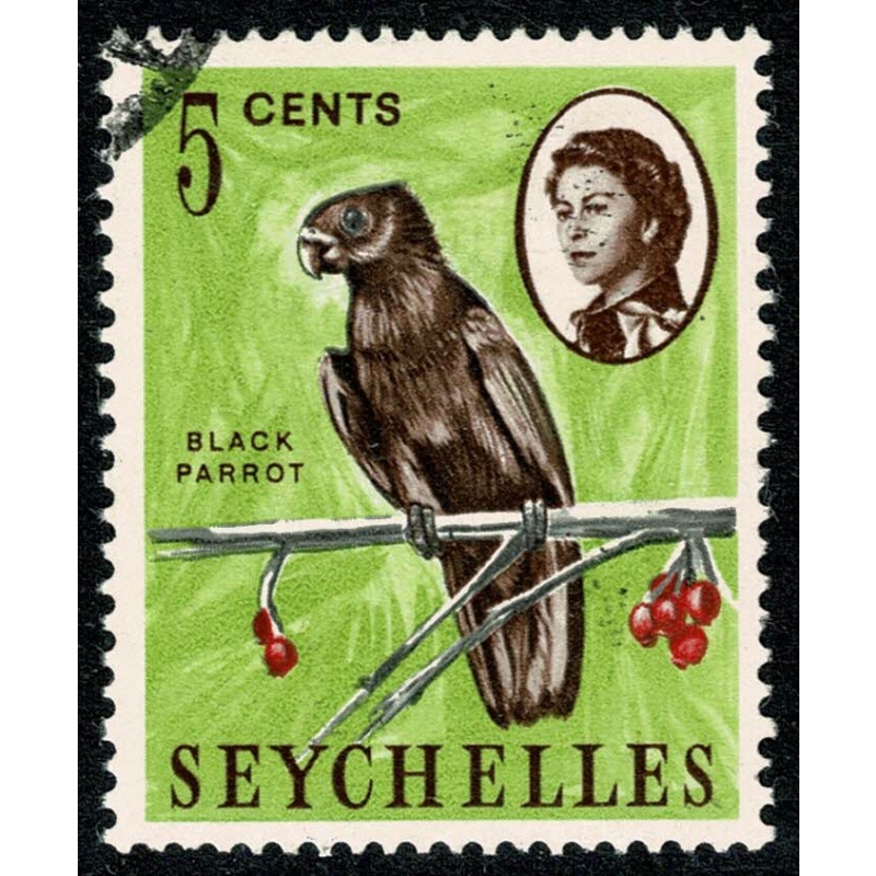 Seychelles. 1962-68  5c "Black parrot". Fine Used single. SG 196