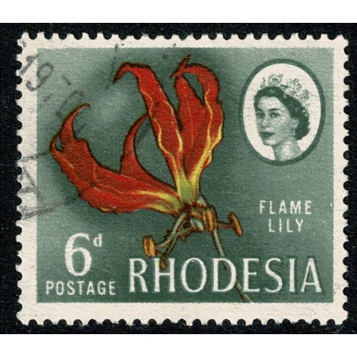 Rhodesia. 1966-68 (Litho). 6d Flame Lily. Fine Used. SG 401