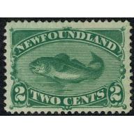 Newfoundland. 1896 2c green SG 64. Lightly mounted mint