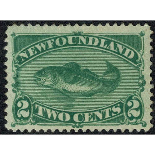 Newfoundland. 1896 2c green SG 64. Lightly mounted mint