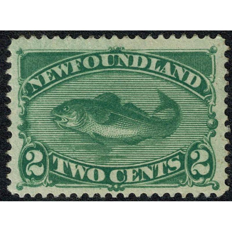 Newfoundland. 1896 2c green SG 64. Lightly mounted mint