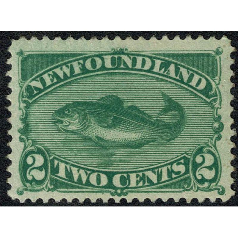 Newfoundland. 1896 2c green SG 64. Lightly mounted mint